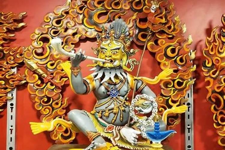 属鸡的人命苦吗为什么老人说属鸡的命不好