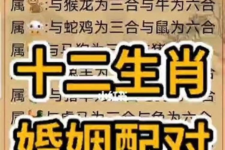 测算两人婚姻合不合,算算我们两个的婚姻合不合适