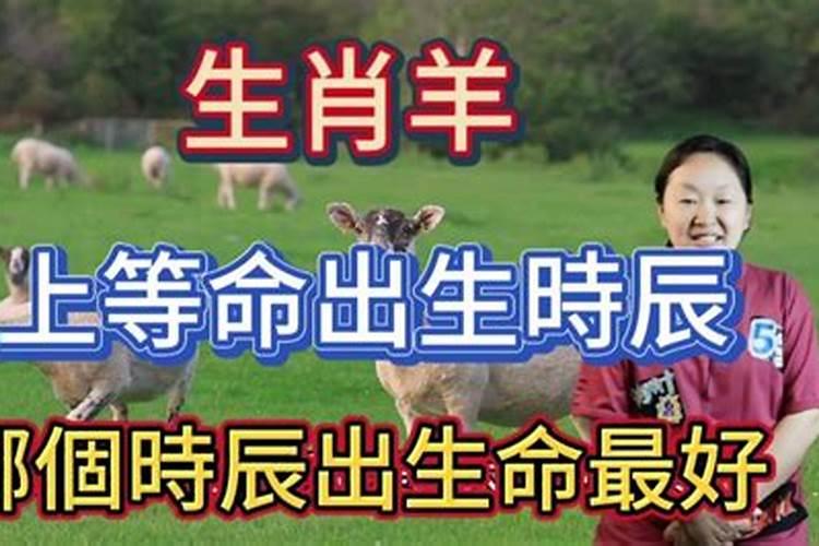 什么是地支相冲,相害,相邢,相破,什么意思啊？