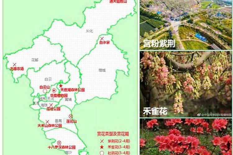 2025属马几月有一难 2025属马人全年运势如何