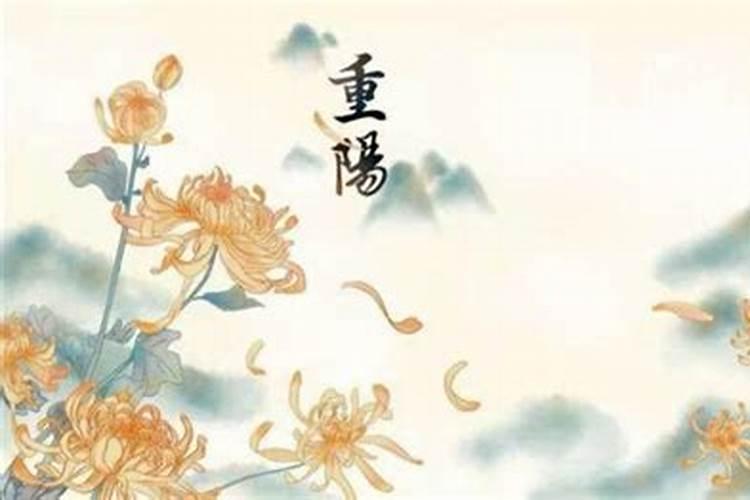 代表重阳节的花是什么花