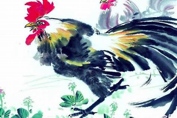 属猪之年命运解析与运势展望