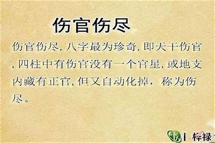 男命丁壬合意味着什么