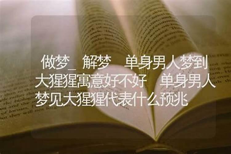 男人梦见羊是什么预兆