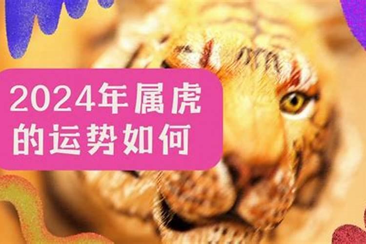 济南黄河大桥收费吗