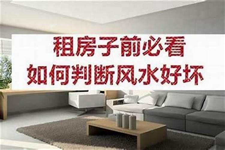 梦见自己养狗的预兆
