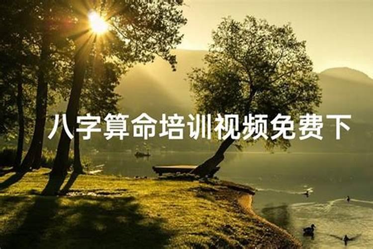 什么八字排盘软件最准。
