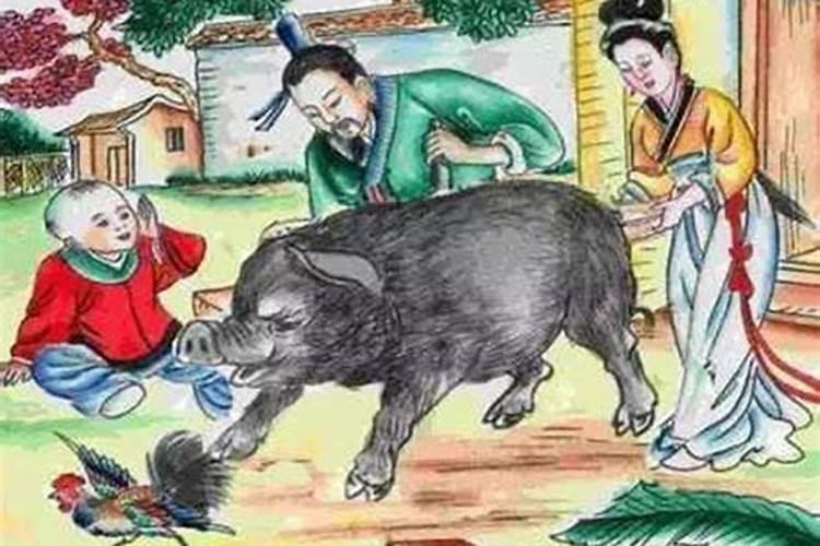 周公解梦梦见杀猪是什么意思 梦见杀猪是什么意思