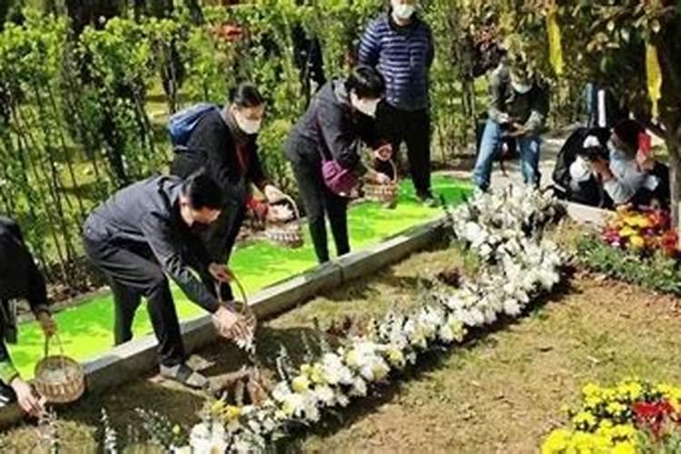 清明节几号上坟最好
