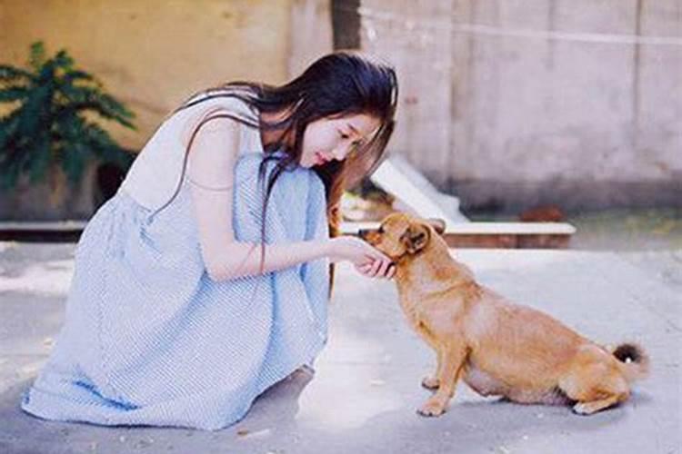 哪位大师来回答:鼠年本命年应该注意些什么,穿着有讲究吗