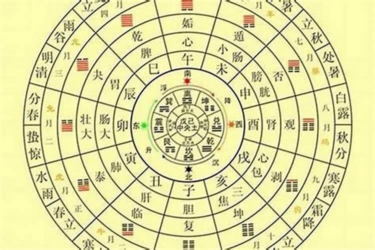1982年12月11日,阳历,男,这人命运如何？