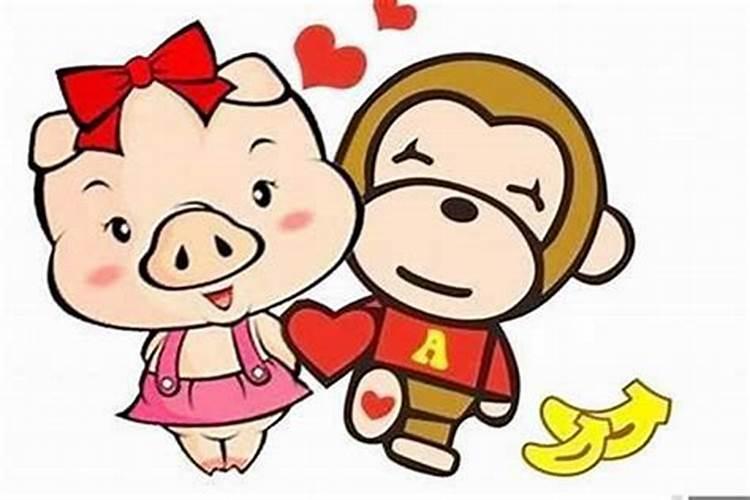 属猴与属猪适合婚配吗 生属什么的宝宝？