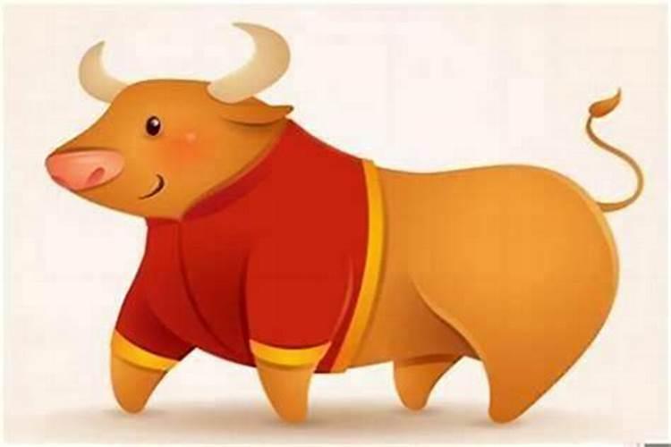 男孩冬至出生为什么好 冬至生的男宝宝有福气