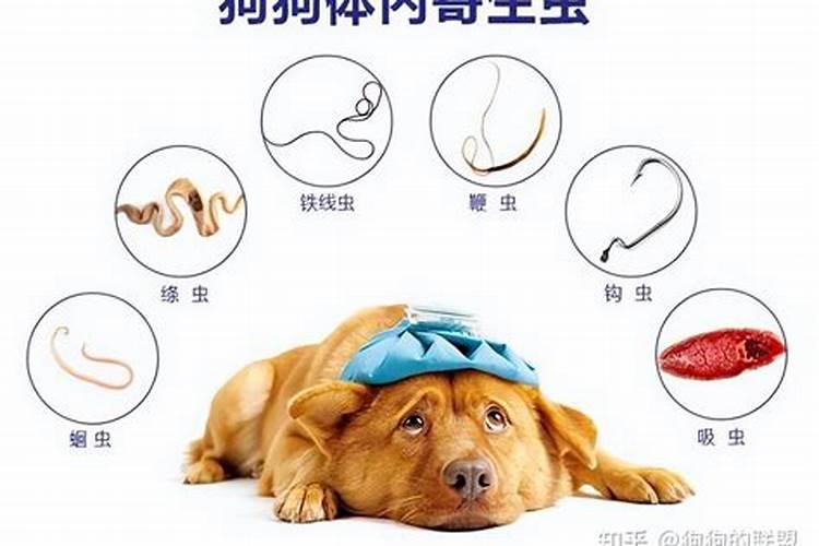本命年结婚好吗