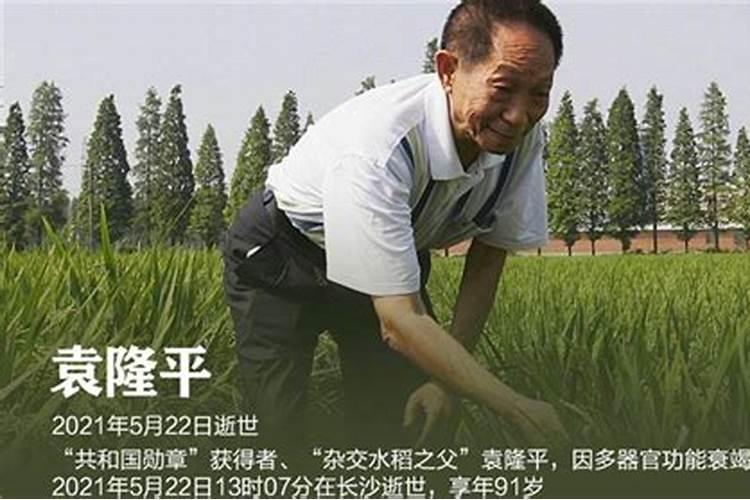 袁隆平离开后的首个清明时节,人们在用哪些方式“稻”念他？