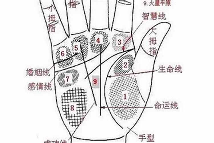 83年属猪人2025年有何劫难