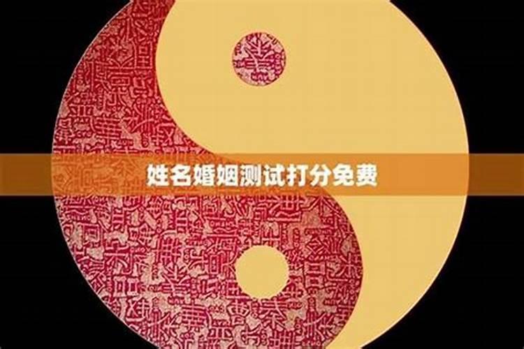 历史上属猪和属狗的模范夫妻 猪狗夫妇合财吗