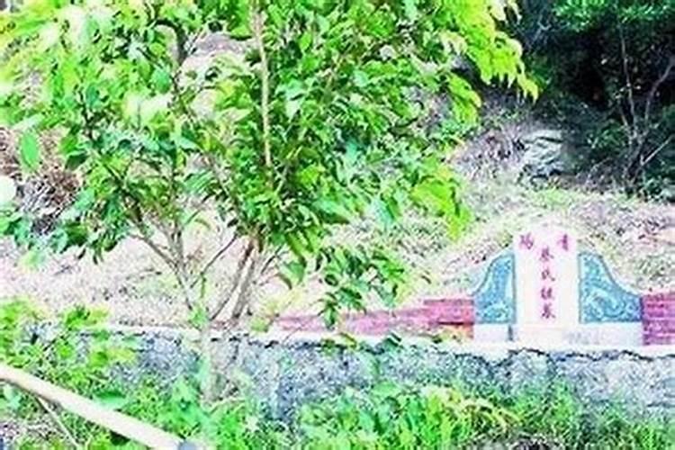 刑太岁如何化解