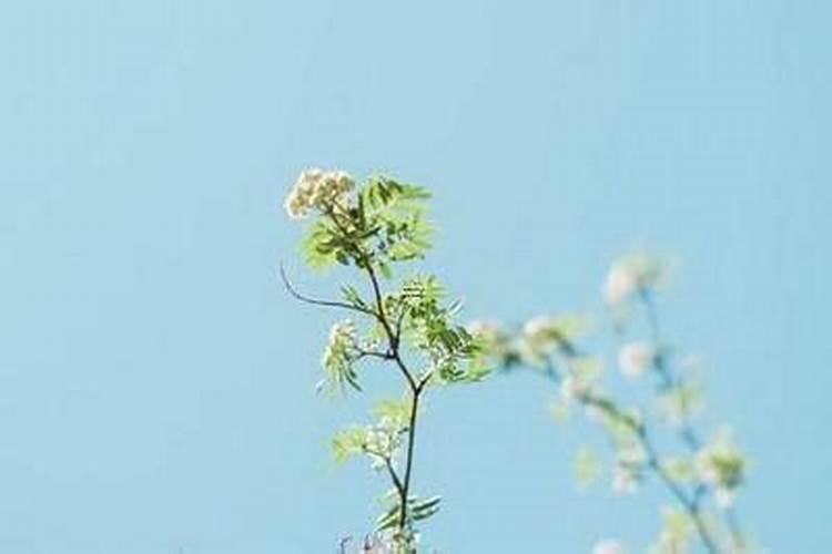 ...告诉你端午节去贵州哪里好玩 哪里可以看赛龙舟