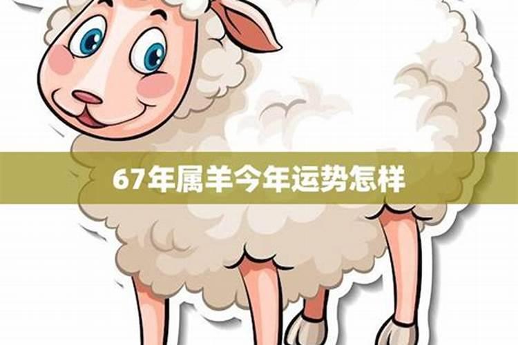 67年属羊女2024年农历下半年运