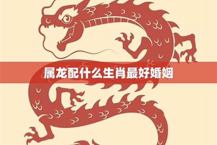 十二星座什么星座最笨 12星座谁最笨排名