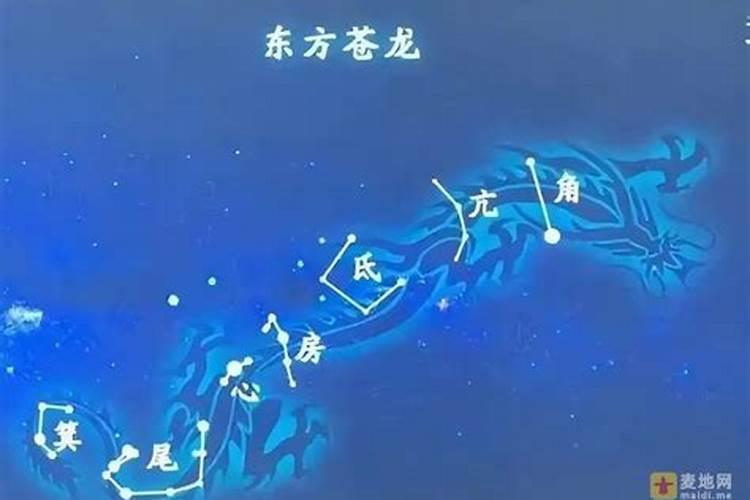 1988年属龙人2025年全年运势运程