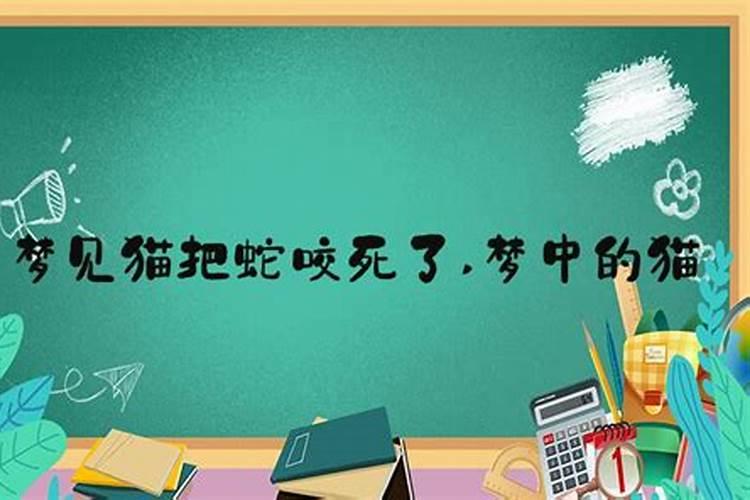 我是1984年农历11月25日寅时出生,属鼠,请大师指点一下2010年运程,不胜...