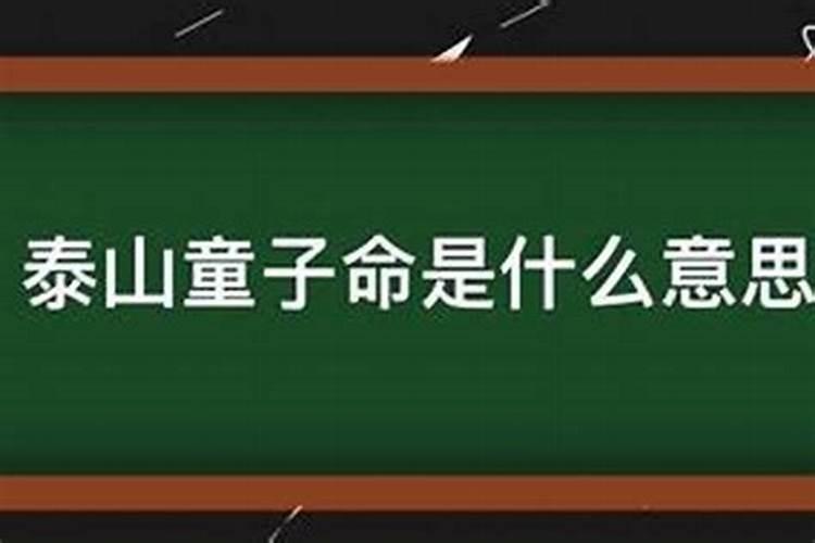 属蛇和属龙的合得来么