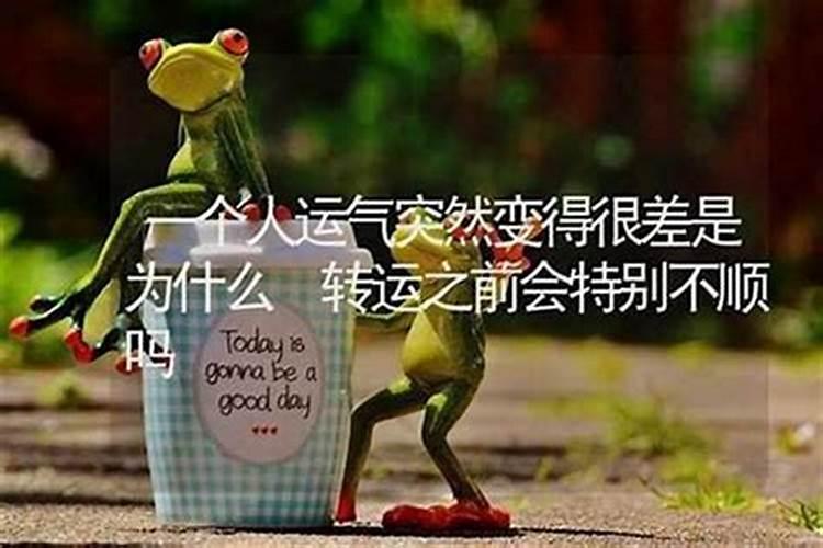 秋天的狗好还是冬天好出生