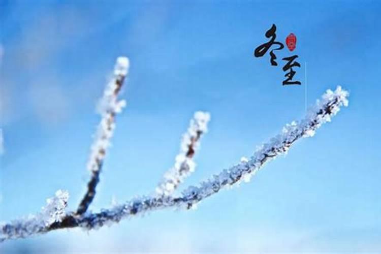 72属鼠三年大运 72年属鼠运势如何？