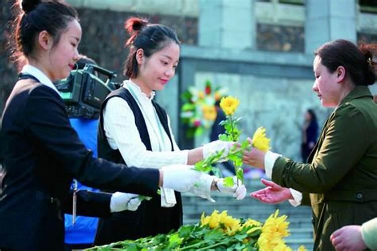 来,我们给你整理了茶人清明扫墓指南