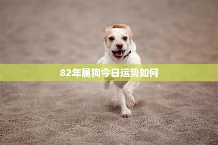 大理冬天的气温大概多少度？