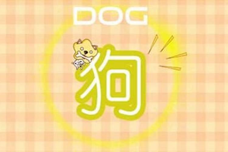 八字合犬是什么生肖属相不合八字会合吗