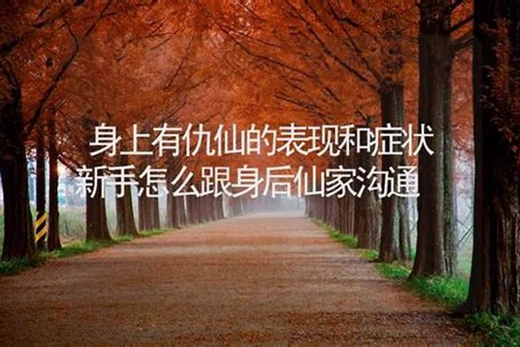 结婚犯太岁怎么化解