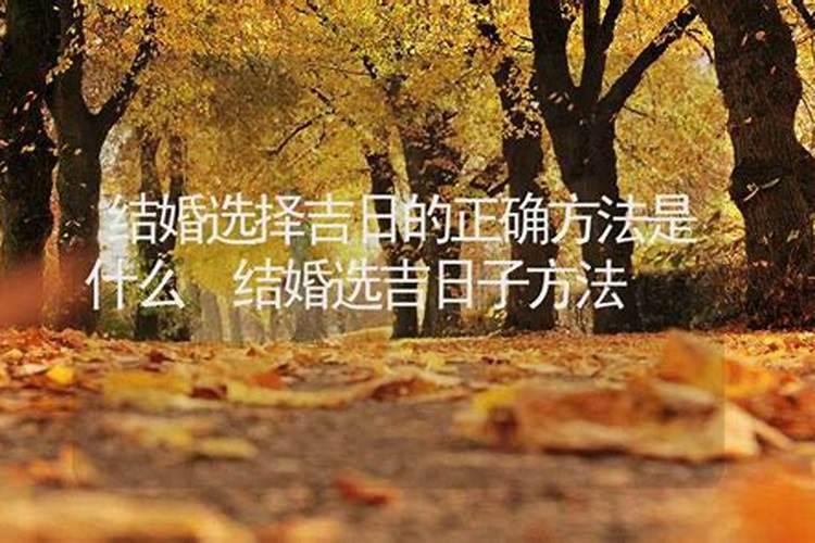 十二生肖年龄表2025年
