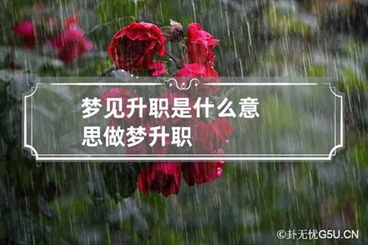 65年蛇女最大的坎是哪年