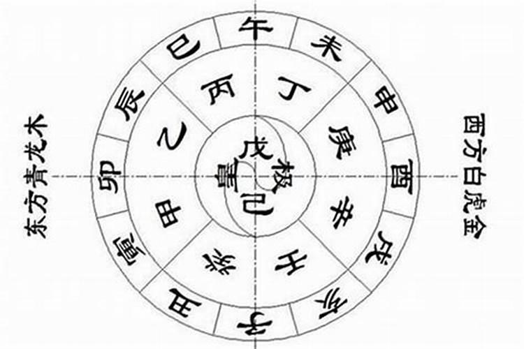 属猪2025年犯太岁怎么化解