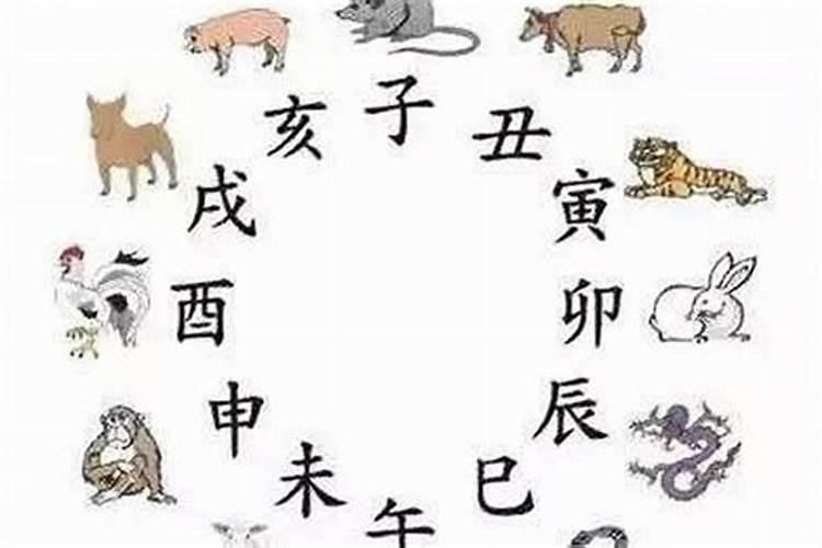 78年属马人2025年运势运程
