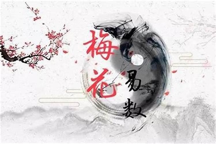 2o24年犯太岁的有哪些属相