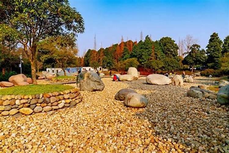 2022冬至吃饺子朋友圈配文说说