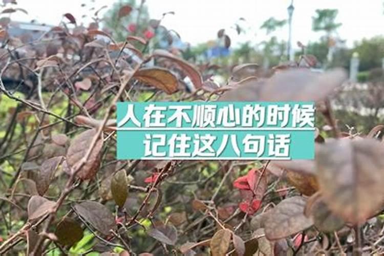 犯太岁最灵验化解方法,什么方法最好