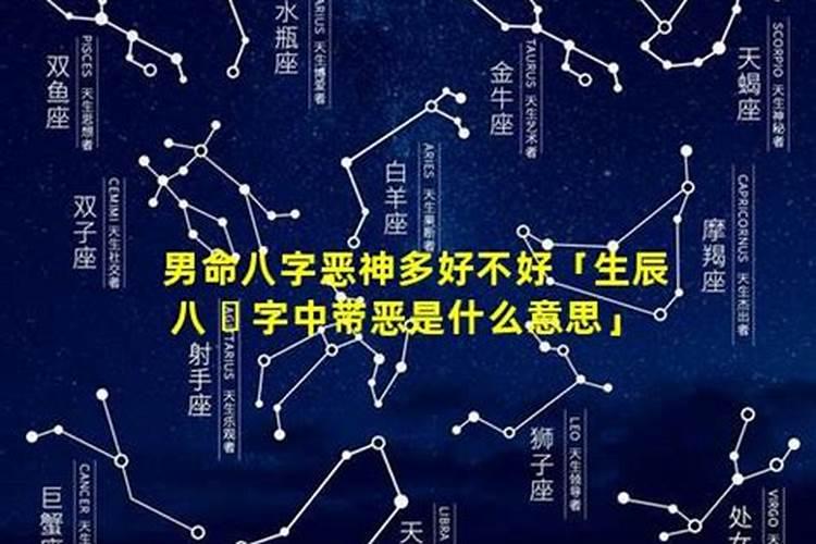 2025年1月2日什么生肖相冲