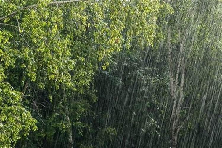 梦到下大雨发大水是什么意思