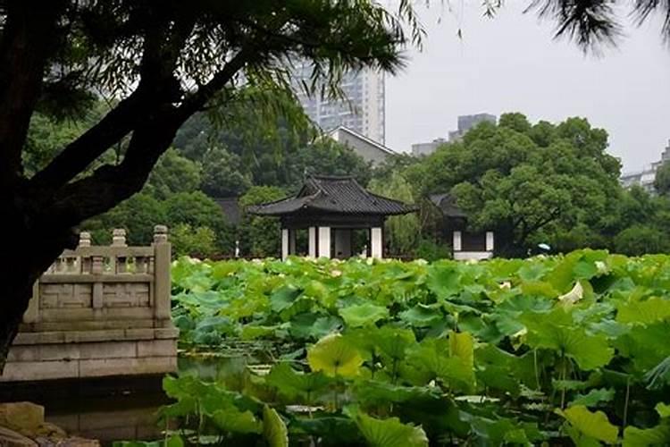 算姻缘方法
