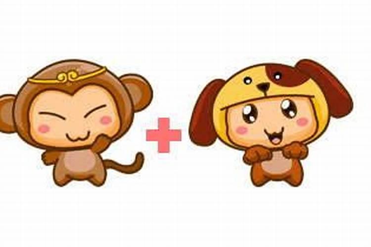 本命年最忌讳的三件事