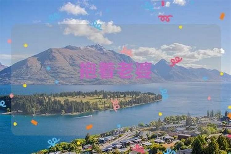 端午节作文600字:吃粽子？