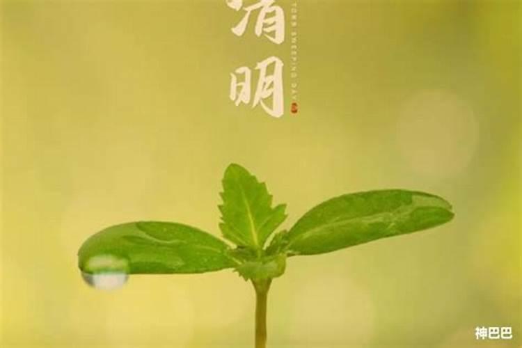 八字合的两个人婚姻就好吗 一定幸福吗？