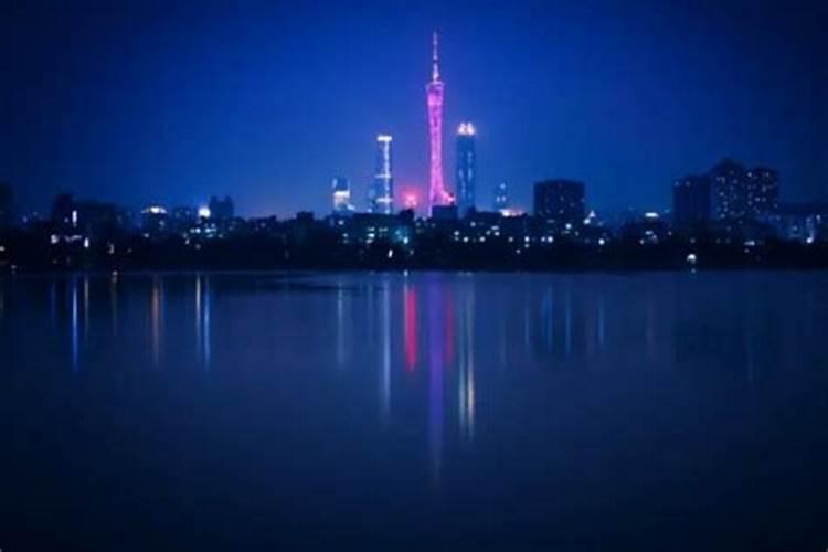 梦见小鸡仔