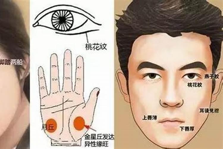八字和面相手相哪个准