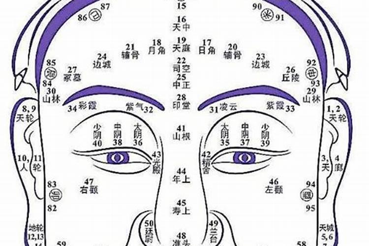 鼠和狗的属相合不合